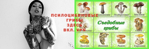 apvp Пестово