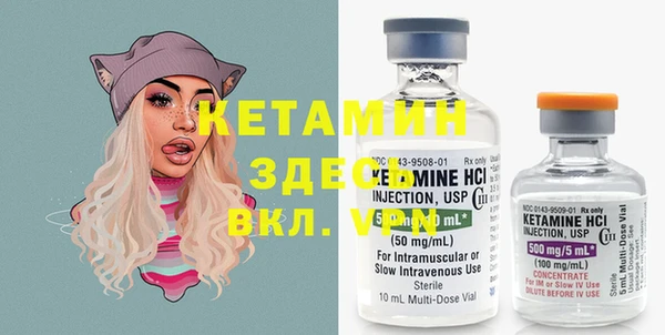 дмт Пересвет
