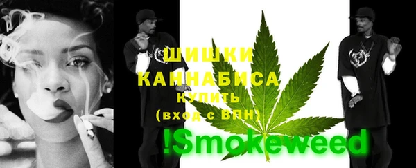 дмт Пересвет