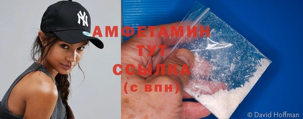 дмт Пересвет