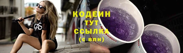 дмт Пересвет