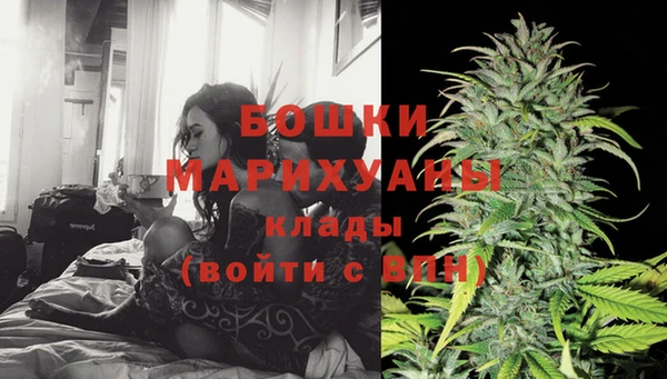 дмт Пересвет