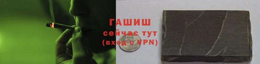 дмт Пересвет
