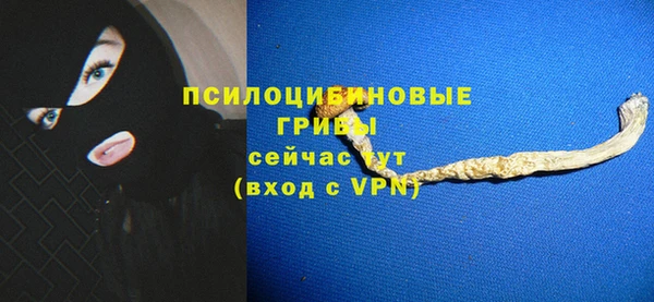 apvp Пестово