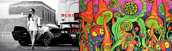 бошки Переславль-Залесский
