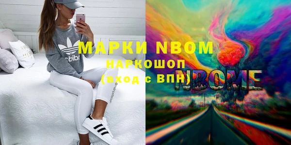 дмт Пересвет