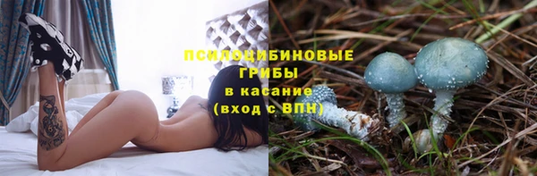 apvp Пестово
