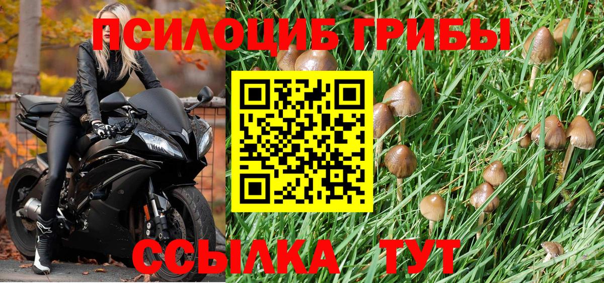 Галлюциногенные грибы мухоморы  Краснодар 