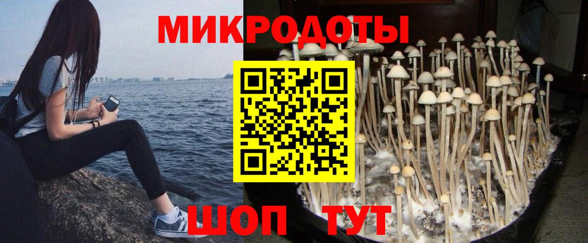 Псилоцибиновые грибы ЛСД Краснодар
