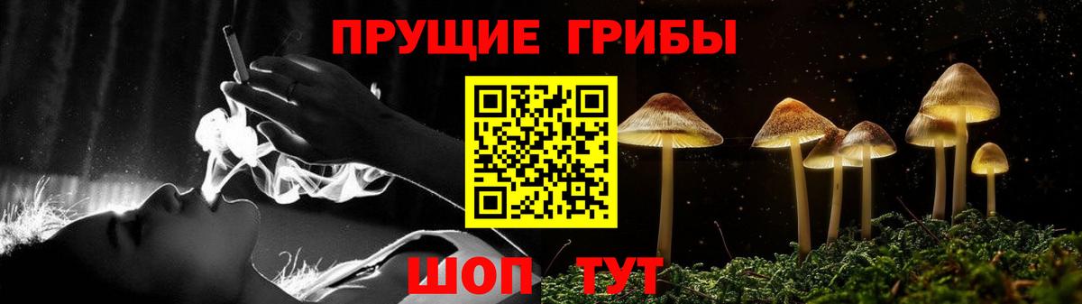 Галлюциногенные грибы MAGIC MUSHROOMS  Галлюциногенные грибы Magic Shrooms  Краснодар  Вход с VPN 